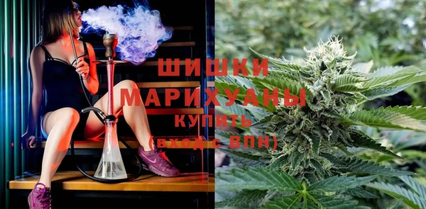 мяу мяу мука Покачи