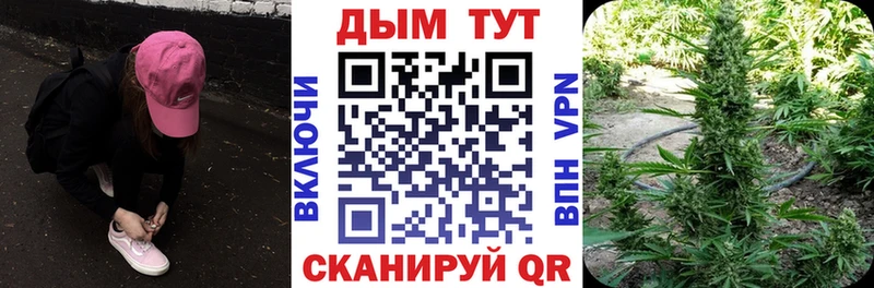 где купить наркоту  Новоуральск  Конопля Ganja 